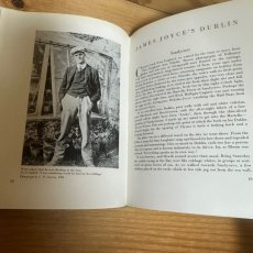 画像11: JAMES JOYCE’Ｓ DUBLIN  ジェームス　ジョイスのダブリン　パトリシアハッチンズ　ＴＨＥ　ＧＲＥＹＷＡＬＬＳ　ＰＲＥＳＳ (11)