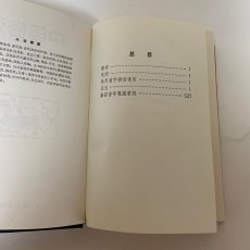 画像4: 中国語　俗語　ことわざ　金路　東方出版中心　1997年 (4)